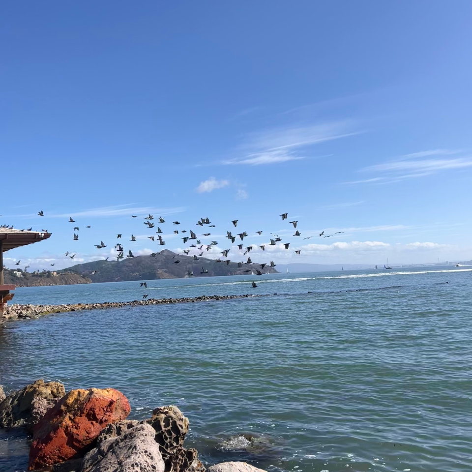 Softcat San Fran Incentive (23)