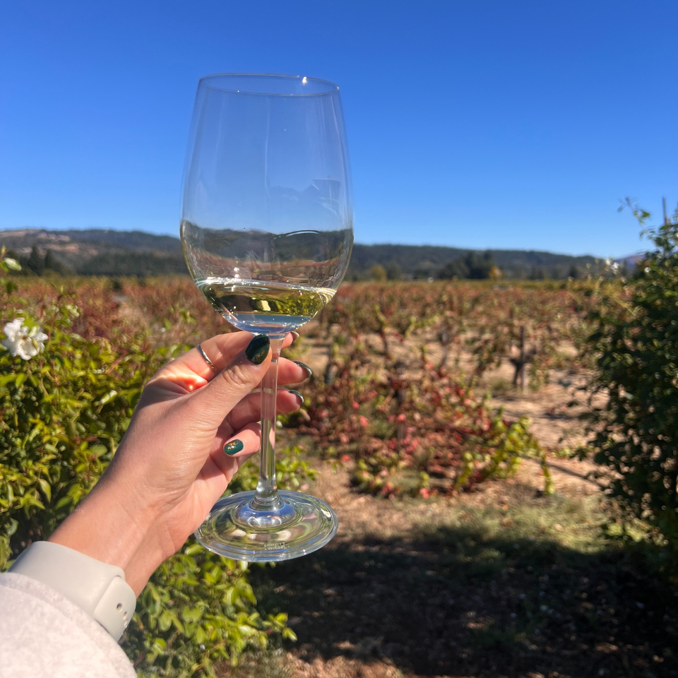 Softcat San Fran Incentive (24)