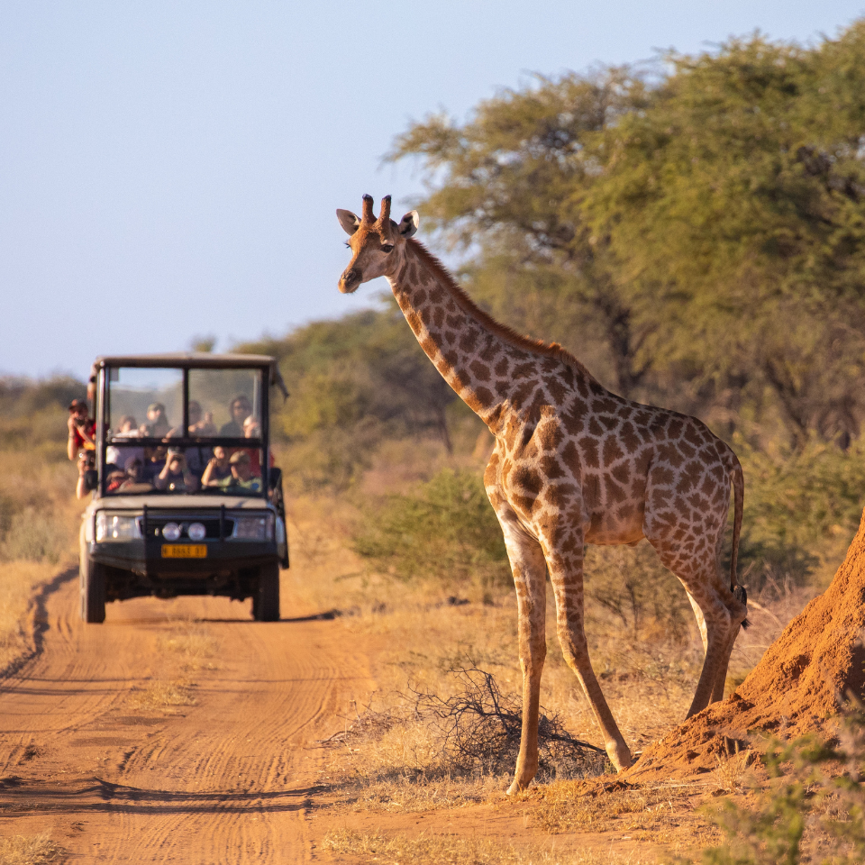 South Africa