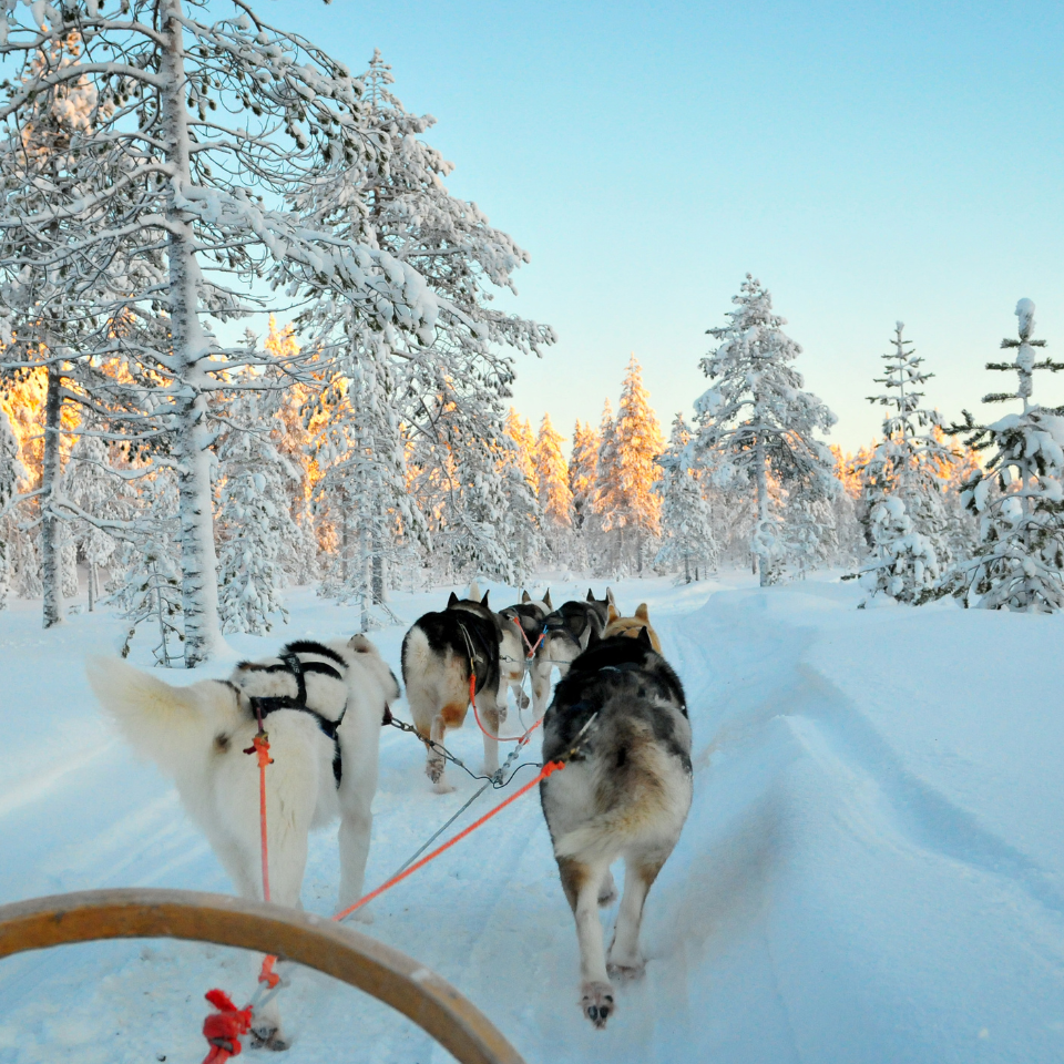 Lapland